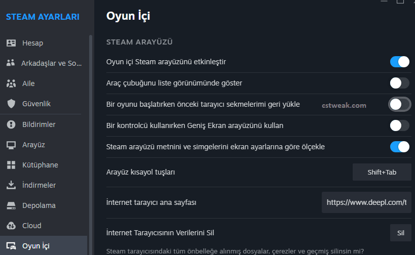 Yayın ve Remote Play