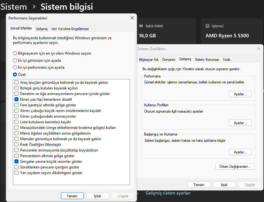 Performans Ayarları