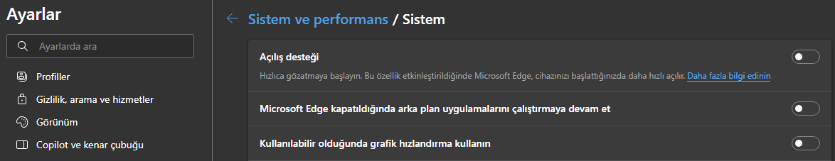 Tarayıcı Gizlilik Ayarları