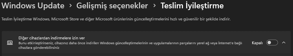 Windows Update - Teslim İyileştirme